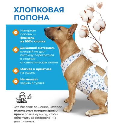 Petit Popon for dogs postoperative No. 3 15-23 kg - Buy Online on GoSupps.com