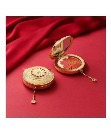 Palace Identity blush shade for the eyes highlighter