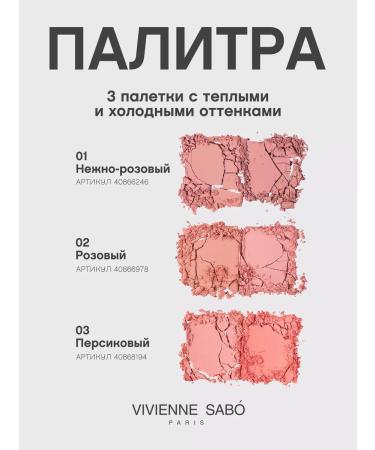 VIVIENNE SABO Facial blush 2 in 1 Naturel 03 Bloody matte - Buy Online on GoSupps.com