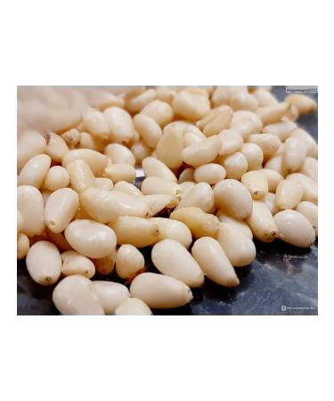 Vitamin snack Cedar nuts peeled 100 grams products healthy food - Buy Online on GoSupps.com