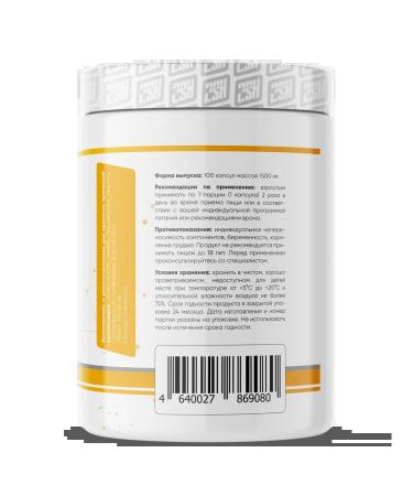 2SN Sunflower Lecithin in the capsules of Sunflower Lecithin 100 pcs - Buy Online on GoSupps.com