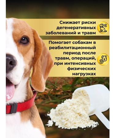 Collagen chondroprotector for dogs - Buy Online on GoSupps.com