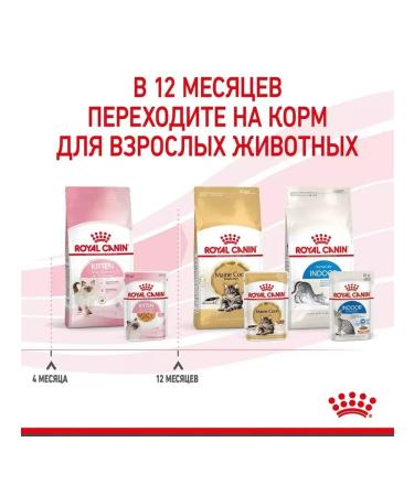 ROYAL CANIN Wet feed for kittens Kitten 85 gr - Buy Online on GoSupps.com