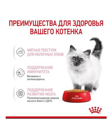 ROYAL CANIN Wet feed for kittens Kitten 85 gr - Buy Online on GoSupps.com
