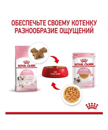 ROYAL CANIN Wet feed for kittens Kitten 85 gr - Buy Online on GoSupps.com