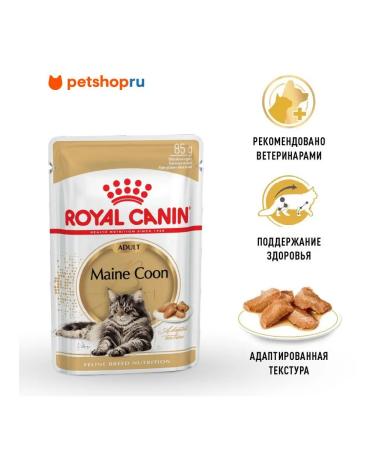 ROYAL CANIN Wet food for Maine Coons 85 gr