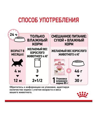 ROYAL CANIN Kitten Wet feed for kittens 1 spider 85 gr - Buy Online on GoSupps.com