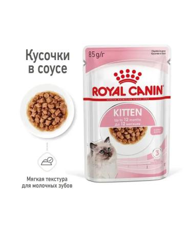ROYAL CANIN Kitten Wet feed for kittens 1 spider 85 gr - Buy Online on GoSupps.com