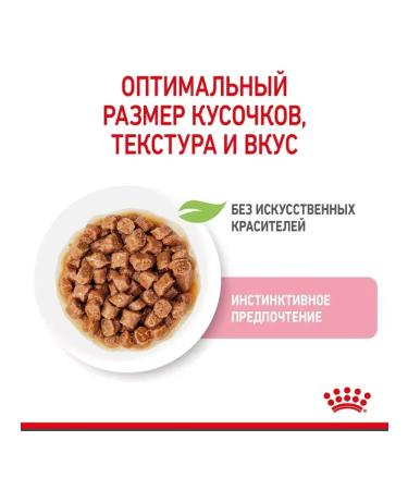 ROYAL CANIN Kitten Wet feed for kittens 1 spider 85 gr - Buy Online on GoSupps.com