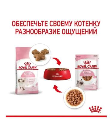 ROYAL CANIN Kitten Wet feed for kittens 1 spider 85 gr - Buy Online on GoSupps.com
