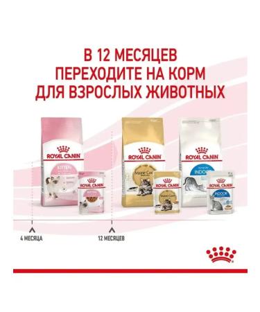 ROYAL CANIN Kitten Wet feed for kittens 1 spider 85 gr - Buy Online on GoSupps.com