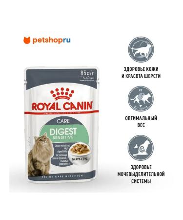 ROYAL CANIN Spider for cats in sauce digestive 85 gr