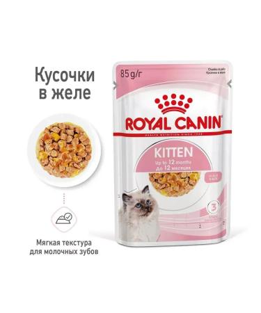 ROYAL CANIN Wet food for kittens Kitten 85 gr - Buy Online on GoSupps.com