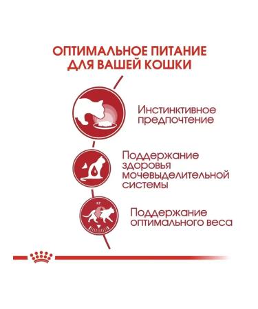 ROYAL CANIN Spides for adult cats Instinctive 85 grams - Buy Online on GoSupps.com