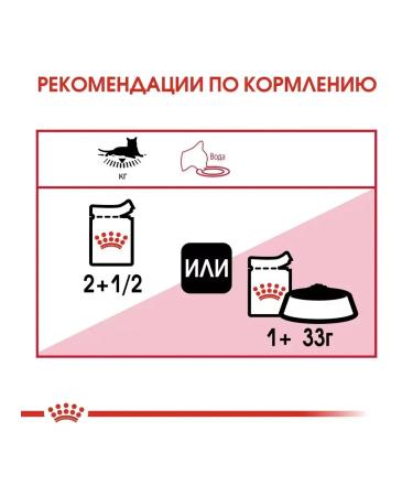 ROYAL CANIN Spides for adult cats Instinctive 85 grams - Buy Online on GoSupps.com