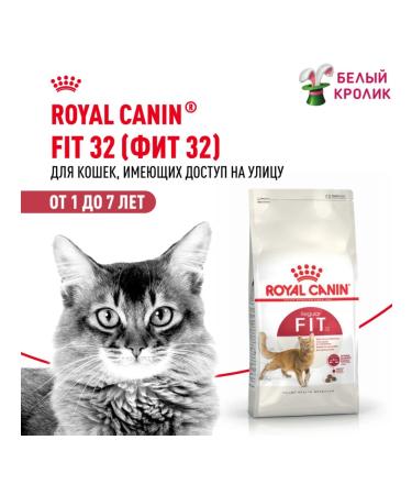 ROYAL CANIN Dry food for cats Fit 32 400g