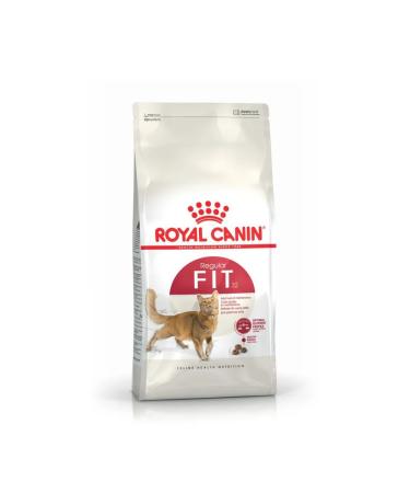 ROYAL CANIN Dry food for cats Fit 32 400g - Buy Online on GoSupps.com