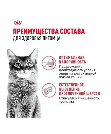 ROYAL CANIN Dry food for cats Fit 32 400g - Buy Online on GoSupps.com