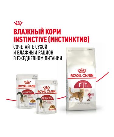 ROYAL CANIN Dry food for cats Fit 32 400g - Buy Online on GoSupps.com