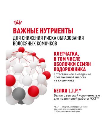 ROYAL CANIN Dry food for cats Hairball Care 400g - Buy Online on GoSupps.com