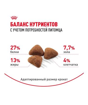 ROYAL CANIN Dry food for cats Indoor 27 400g - Buy Online on GoSupps.com