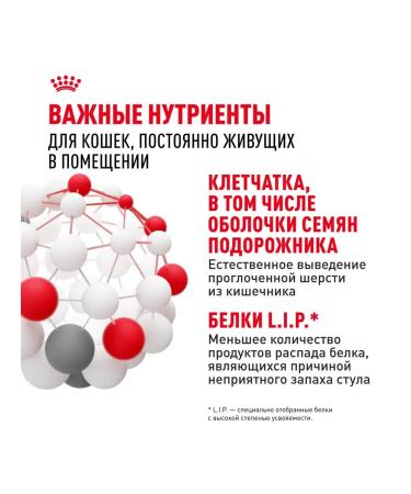 ROYAL CANIN Dry food for cats Indoor 27 400g - Buy Online on GoSupps.com