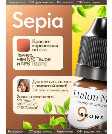 Etalon mix Pigment Mineral Standard Mix No. 9 Sepia 5 ml - Buy Online on GoSupps.com
