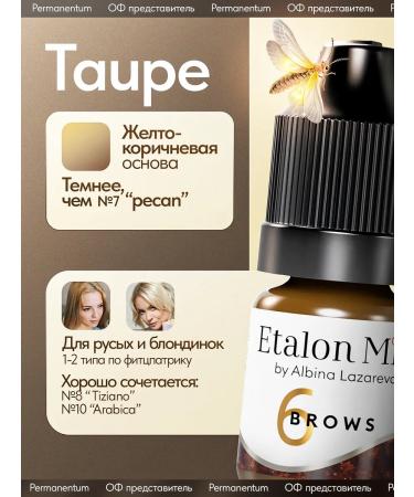 Etalon mix Eyebrow pigment Mineral Standard Mix No. 6 Taupe 5 ml - Buy Online on GoSupps.com