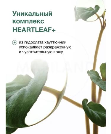 Anua Hydrogel face mask Sedding Heartleaf 70+ - Buy Online on GoSupps.com