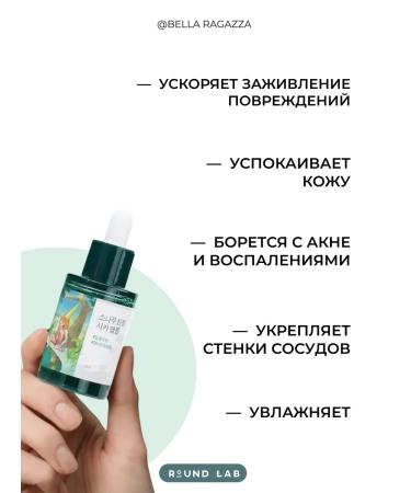 round lab Set of Pads and Wedeously with Pine and Central - Buy Online on GoSupps.com