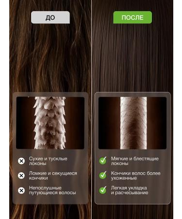 Tashe Shampoo air conditioner mask for hair growth - Buy Online on GoSupps.com