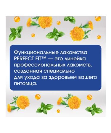 PERFECT FIT Beef dogs with beef velvet extract 12x90g - Buy Online on GoSupps.com