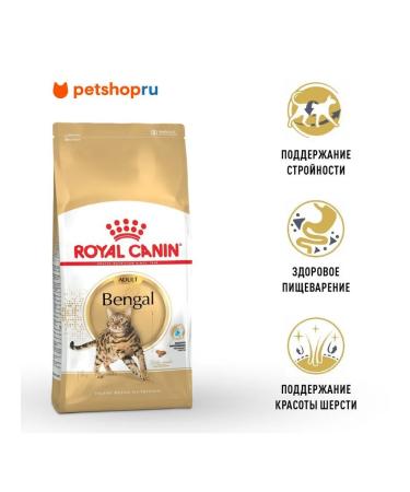 ROYAL CANIN Dry food for cats of Bengal rock Bengal Adult 2 kg