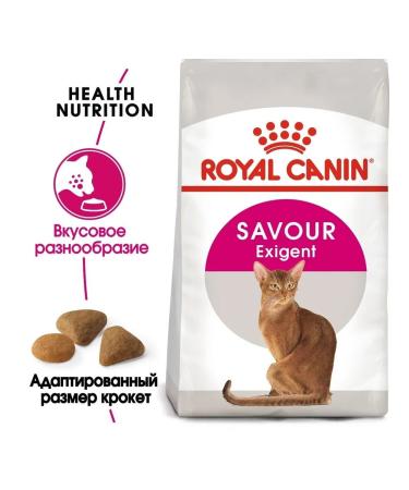 ROYAL CANIN Dry food for fastidious cats from 1 year 200 g - Buy Online on GoSupps.com