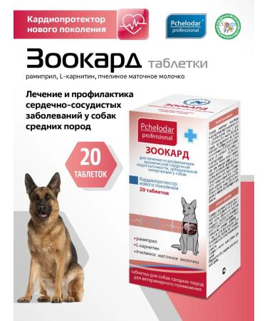 Beekeeper Zooard for the treatment of heart disease in dogs of medium breeds