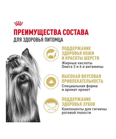ROYAL CANIN Dry food for the Yorkshire Terrier 500 grams - Buy Online on GoSupps.com