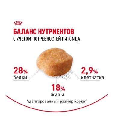 ROYAL CANIN Dry food for dogs Yorkshire Terrier 500 gr - Buy Online on GoSupps.com