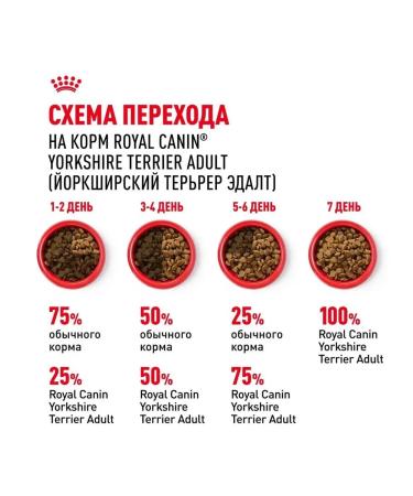ROYAL CANIN Dry food for dogs Yorkshire Terrier 500 gr - Buy Online on GoSupps.com