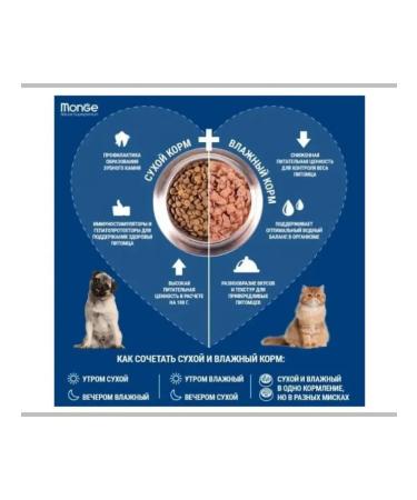 MONGE Cat Sensitive food for cats 10 kg - Buy Online on GoSupps.com