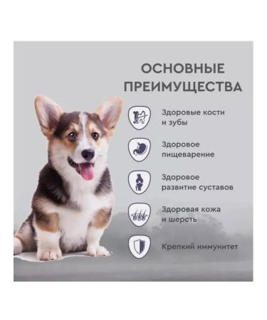 SECRET FOR PETS Dry food for puppies of all breeds chicken and cereals 2 kg - Buy Online on GoSupps.com