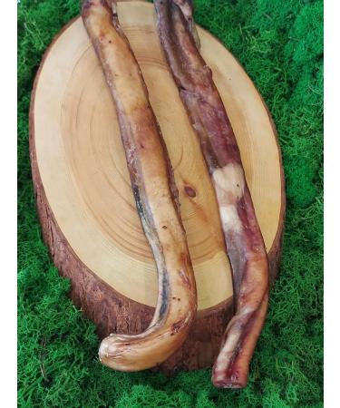 Zoopeet Bull root for dogs 2 pieces - Buy Online on GoSupps.com