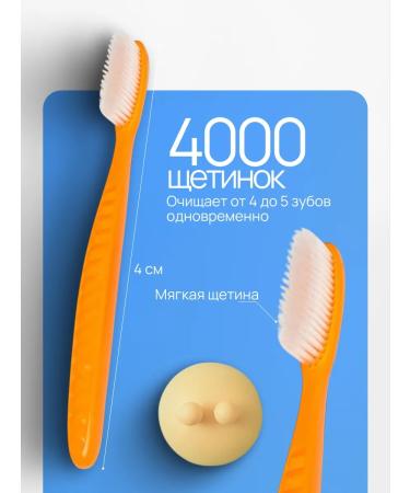 Totti Beauty Korean toothbrush with cap and holder - Buy Online on GoSupps.com