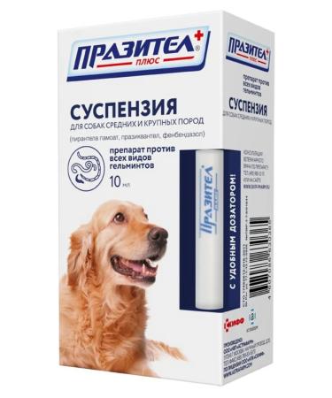 ASTRAPHARM Pragositel suspension for medium and large dogs 10ml - Buy Online on GoSupps.com
