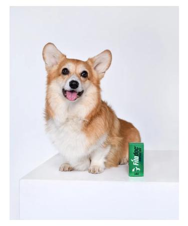 AVZ B vitamins for animals 50 ml - Buy Online on GoSupps.com