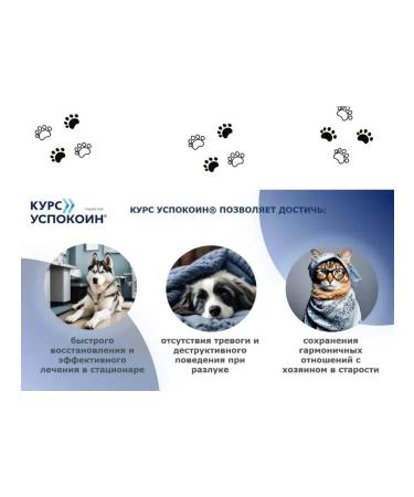 ASTRAPHARM Course Cutting Tablets for Cats 16Tab - Buy Online on GoSupps.com