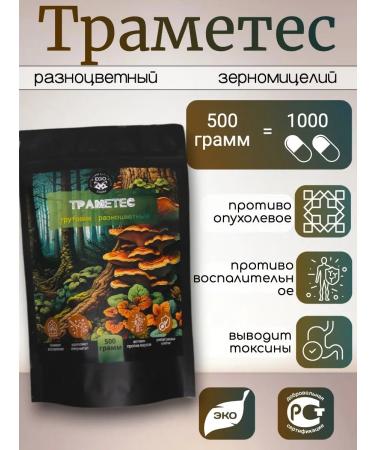 EgoPharm Mushroom set of panaceae hedgehogs cordyceps and trames for 500 g - Buy Online on GoSupps.com