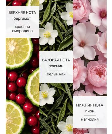 Kariopa Cream-batter for the body - Buy Online on GoSupps.com