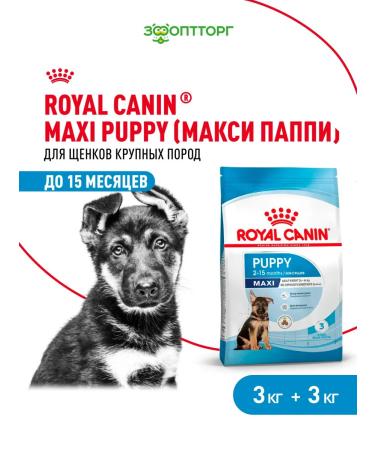 ROYAL CANIN Dry food Maxi Puppy for puppies of large breeds 3 kg x 2 pcs