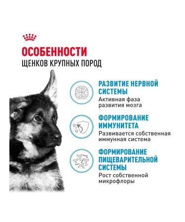 ROYAL CANIN Dry food Maxi Puppy for puppies of large breeds 3 kg x 2 pcs - Buy Online on GoSupps.com