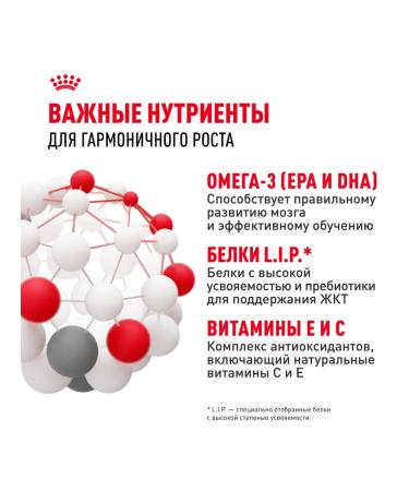 ROYAL CANIN Dry food Maxi Puppy for puppies of large breeds 3 kg x 2 pcs - Buy Online on GoSupps.com